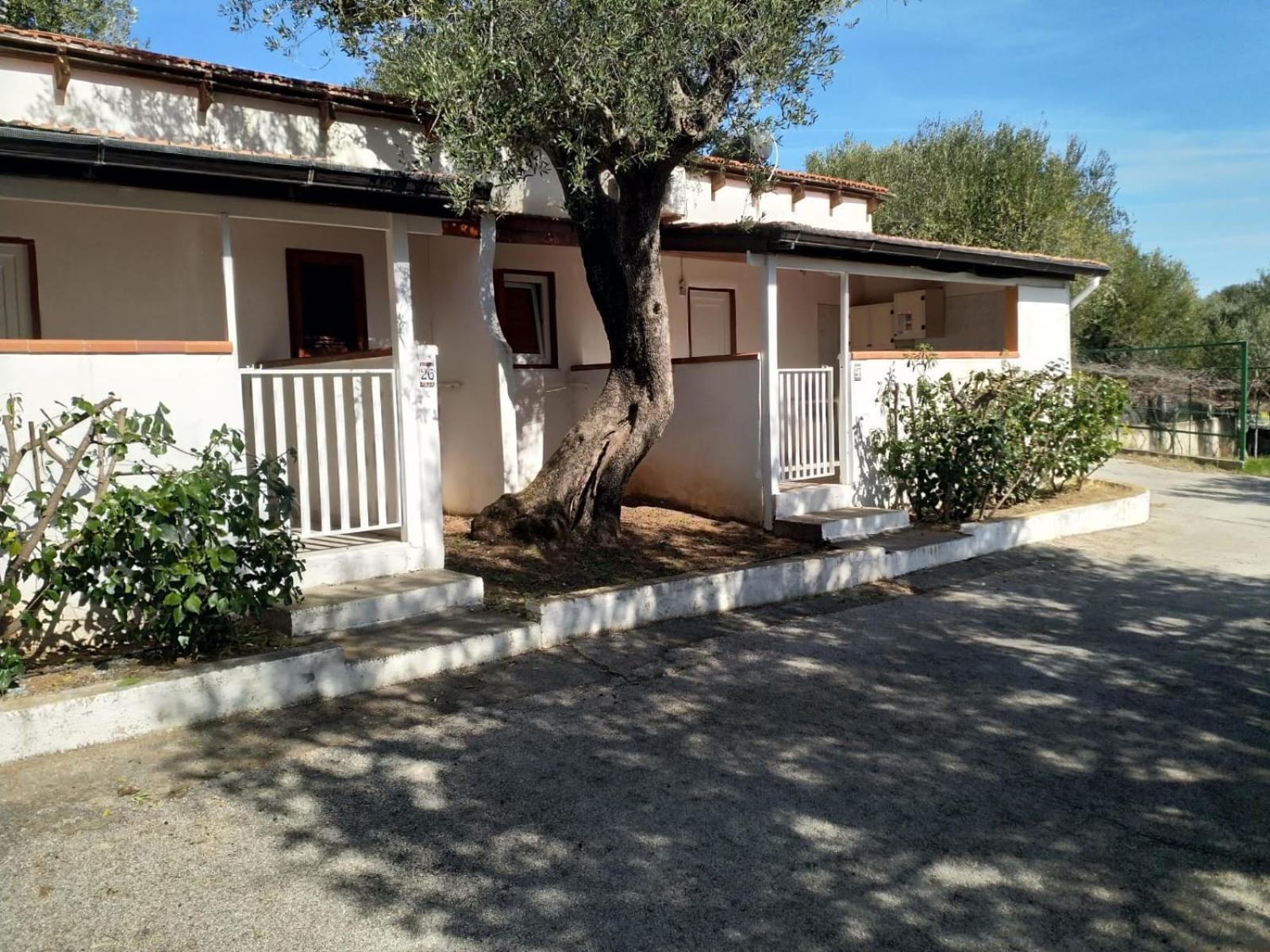 Villaggio Residence Villamarina Marina di Camerota Esterno foto